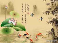 同兴万点（北京）网络技术有限公司天津分公司