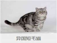 同兴万点（北京）网络技术有限公司天津分公司