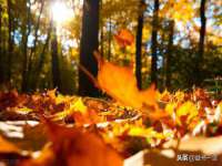 同兴万点（北京）网络技术有限公司天津分公司
