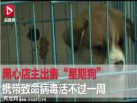 同兴万点（北京）网络技术有限公司天津分公司