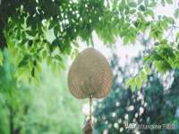 同兴万点（北京）网络技术有限公司天津分公司