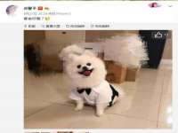 同兴万点（北京）网络技术有限公司天津分公司
