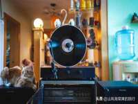 同兴万点（北京）网络技术有限公司天津分公司