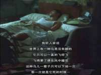 同兴万点（北京）网络技术有限公司天津分公司