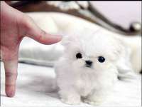 同兴万点（北京）网络技术有限公司天津分公司